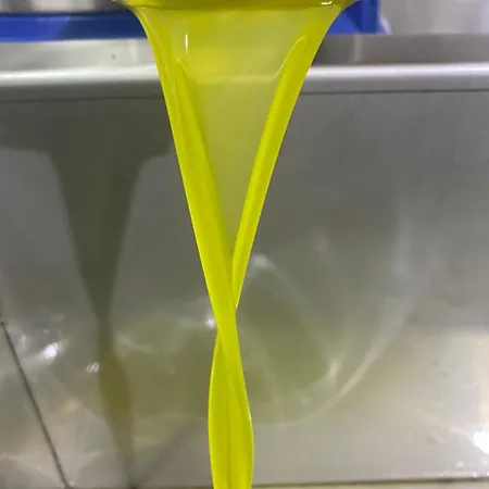 艾吉瑞拉蒙特嘉登酒店 2* 锡拉库扎