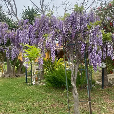 Agrib&b Lemontree Garde'n לינה וארוחת בוקר