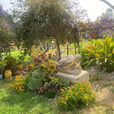 לינה וארוחת בוקר Agrib&b Lemontree Garde'n