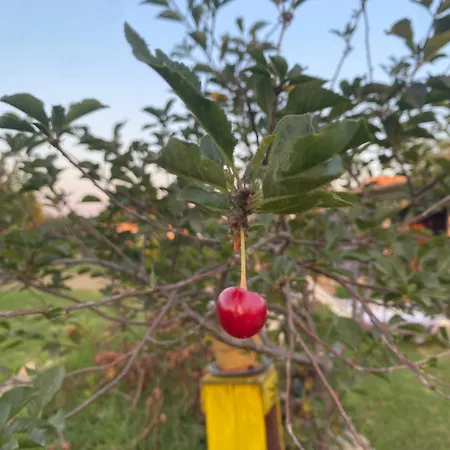 Agrib&b Lemontree Garde'n 2*