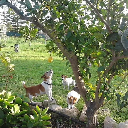 B&B Agrib&b Lemontree Garde'n